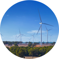 Wind turbines pictured by trees.